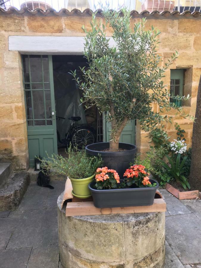 Maison de Maître Elegia Castillon-la-Bataille Extérieur photo
